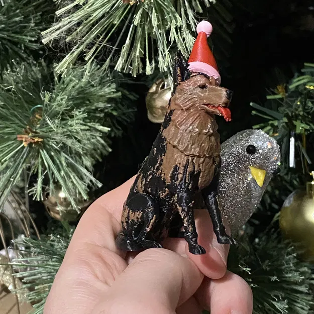 Chó Becgie Đức Đội Mũ Ông Già Noel Mùa Giáng Sinh - Image 5