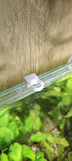 Kẹp cây thủy sinh - dày kính 6 / 8mm (dưới 2G) - Image 7