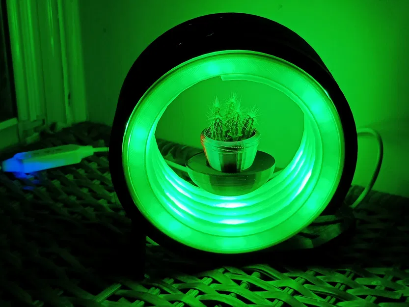 Chậu Sen Đá Treo Tường - Image 2