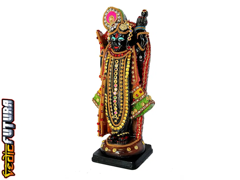 Shrinathji Nathdwara - Krishna Hiện Thân Thành Em Bé Bảy Tuổi - Image 7