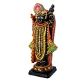 Shrinathji Nathdwara - Krishna Hiện Thân Thành Em Bé Bảy Tuổi - Thumbnail 7