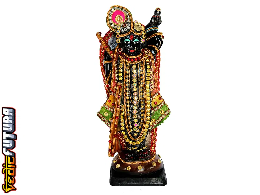 Shrinathji Nathdwara - Krishna Hiện Thân Thành Em Bé Bảy Tuổi - Image 8