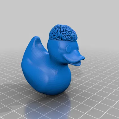 Vịt Não - Tinh Hoa Cho Người Thông Minh