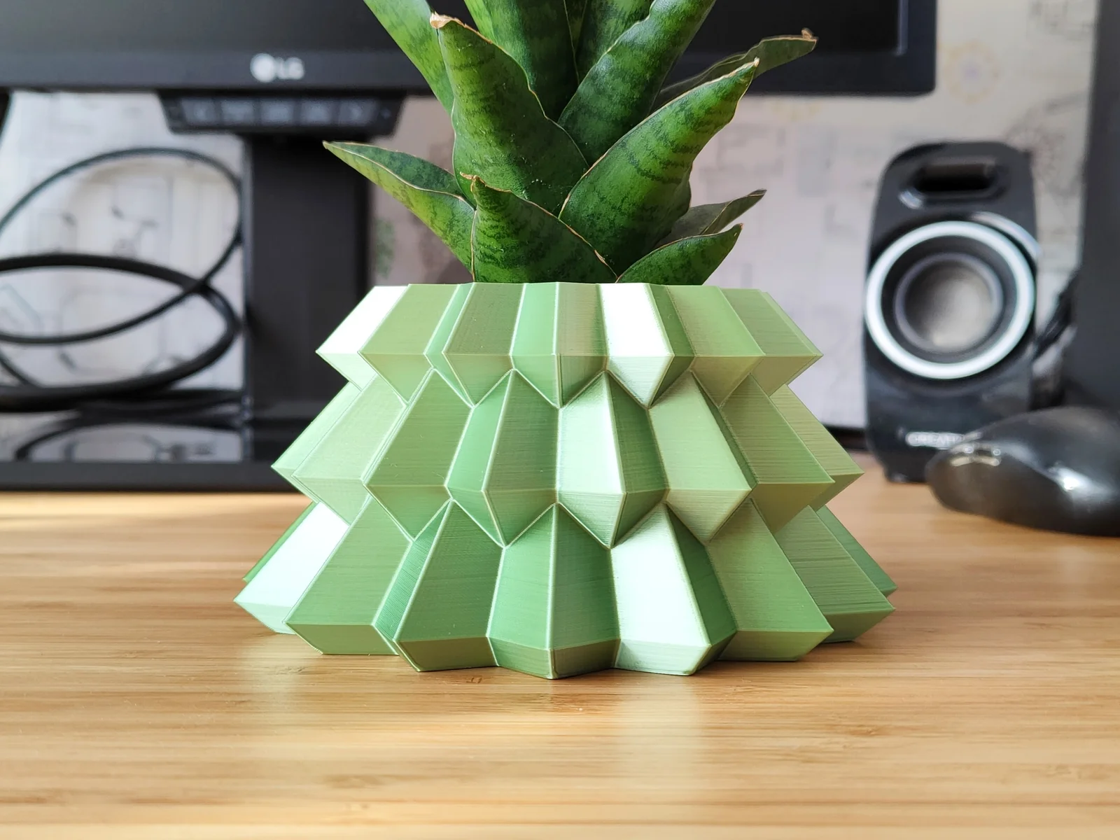 Chậu Cây Thông Noel Kiểu Dáng Geometrical - Chế Độ "Vase Mo… 1