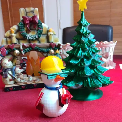 Giám Sát Công Trường Người Tuyết