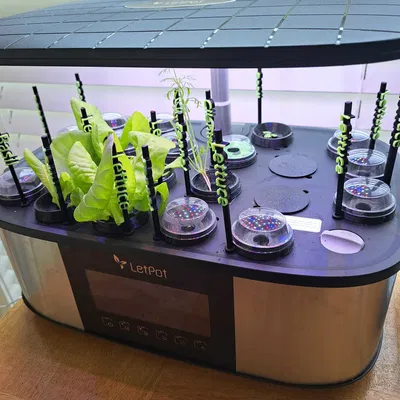 Phụ kiện và Nhãn Trồng Cây Aerogarden / LetPot