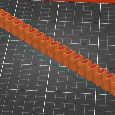 Cá Mập Thỏ Rắn Khớp Nối