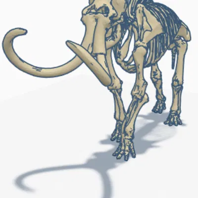 Bộ Xương Cự Đà Lạt