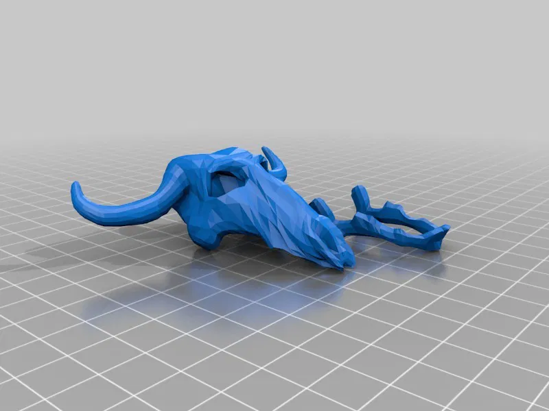 Mô Hình Đầu Lâu - Image 1