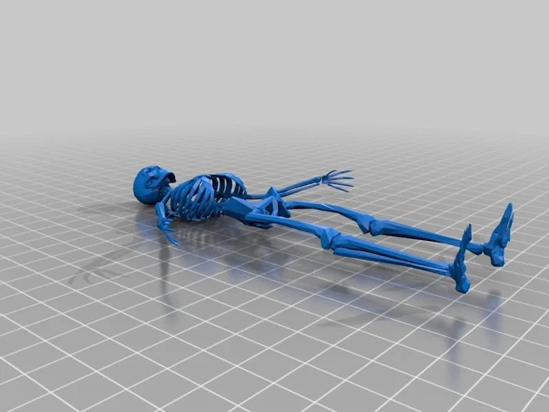 Bộ Xương (Skeleton)