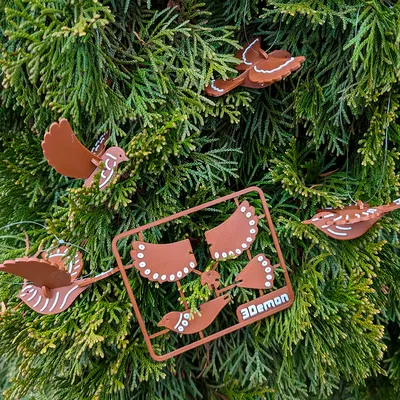 Bộ Thẻ Kit Chim Gừng Giấy