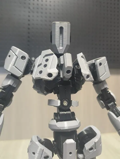 《sacru osse》SH-01 (Thánh Tích Cốt Lõi SH-01) - Image 7