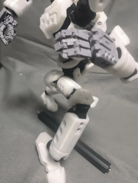 《sacru osse》SH-01 (Thánh Tích Cốt Lõi SH-01) - Image 11