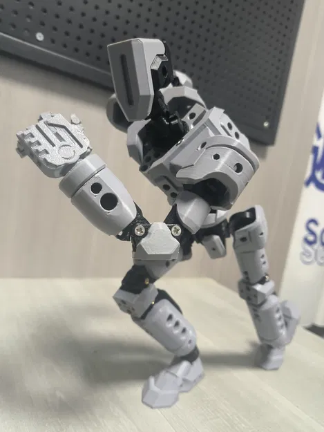 《sacru osse》SH-01 (Thánh Tích Cốt Lõi SH-01) - Image 13