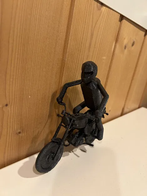 Người lái mô tô - Image 1