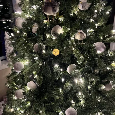 Chụp đèn Giáng sinh XYZ