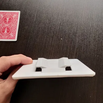 Bản sao Giá đỡ RV PAW International