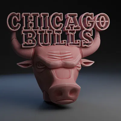 Chicago Bulls