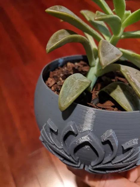 Chậu Trồng Sen Đá Có Đĩa Hứng - Image 2