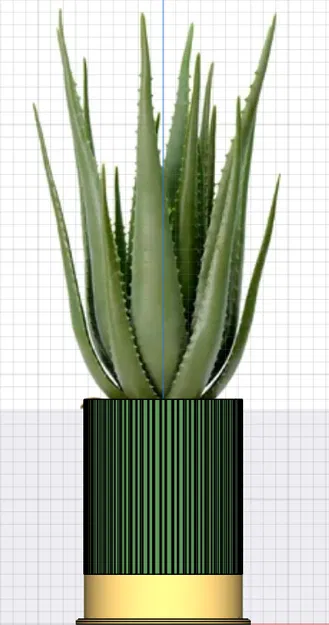 Chậu Hoa Đầu Đạn Shotgun - Image 2