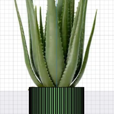 Chậu Hoa Đầu Đạn Shotgun