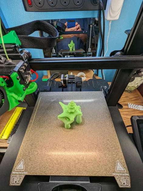 Vỏ Sò Quét 3D - Image 2