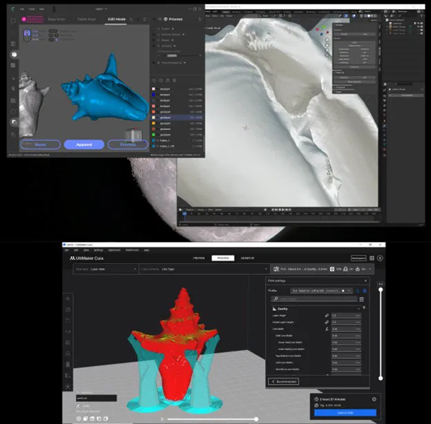 Vỏ Sò Quét 3D - Image 4