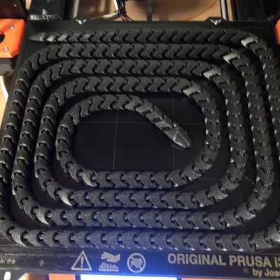 Rắn XXXXXXL Dài 250cm