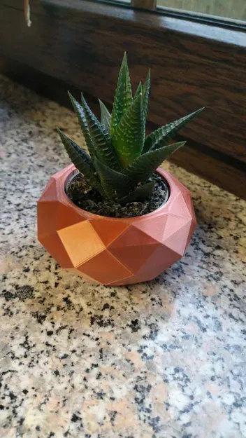 Chậu hoa "Low Poly" đơn giản - Image 1