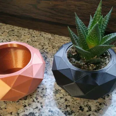 Chậu hoa "Low Poly" đơn giản