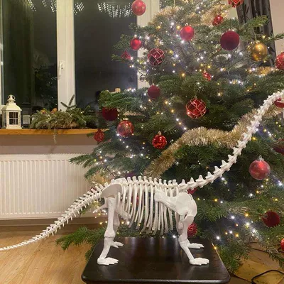 Mô hình Bộ xương Khủng long