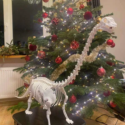 Mô hình Bộ xương Khủng long