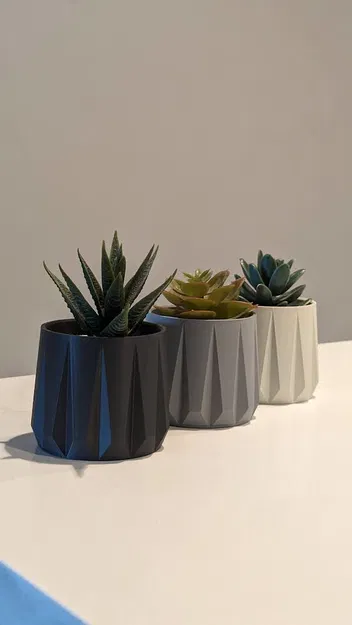 Chậu Trồng Sen Đá Tối Giản - Hình Học - Image 1