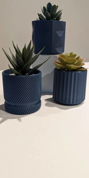 Chậu Trồng Sen Đá Tối Giản - Hình Học - Image 2