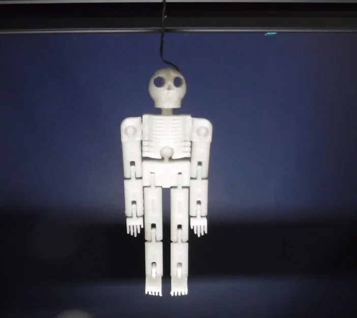 Flexy Skelly - Mô hình bộ xương vui nhộn - Image 2