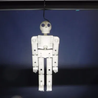 Flexy Skelly - Mô hình bộ xương vui nhộn