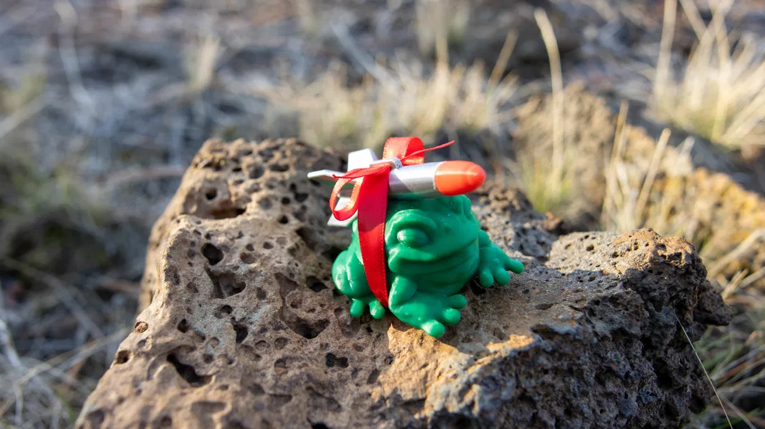 Cóc Tên Lửa của BeardRobot (V2) - Image 6