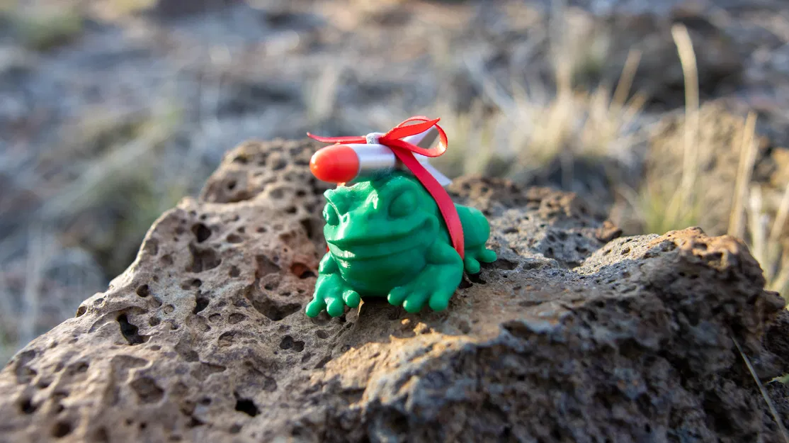 Cóc Tên Lửa của BeardRobot (V2) - Image 7