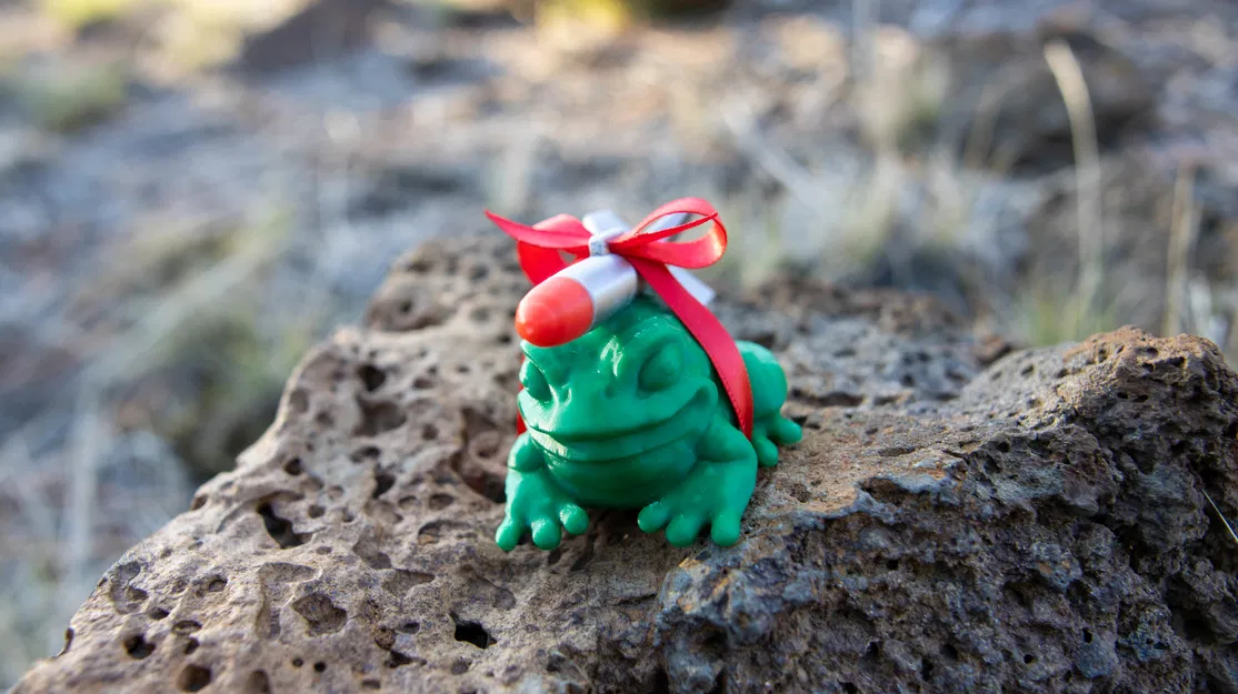 Cóc Tên Lửa của BeardRobot (V2) - Image 9