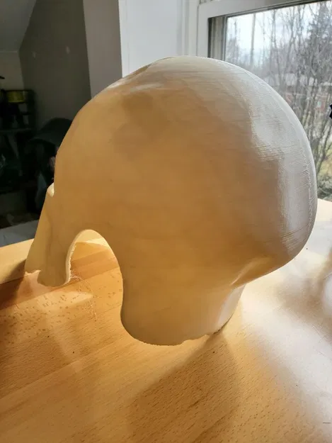 Nón Trụ Đầu Lâu Spartan - Hư Hỏng Chiến Trường - Image 2