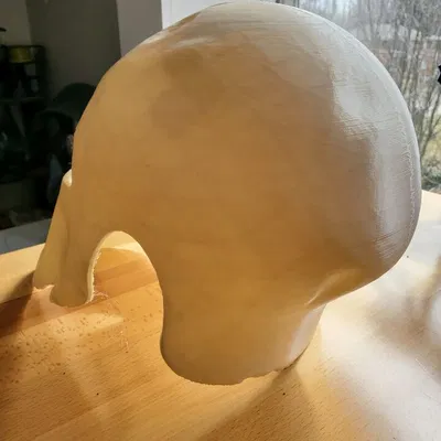 Nón Trụ Đầu Lâu Spartan - Hư Hỏng Chiến Trường