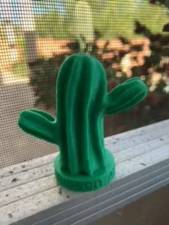 Xương Rồng Saguaro - Image 1