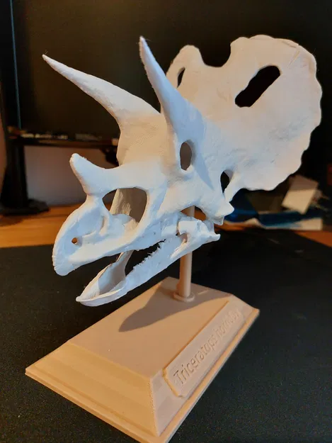 Chân đế Triceratops - Image 1