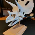 Chân đế Triceratops - Thumbnail 1