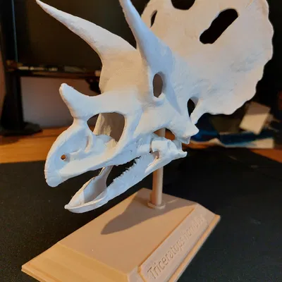 Chân đế Triceratops