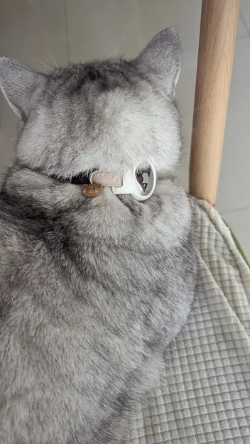 Vòng cổ Airtag 10mm - Image 5