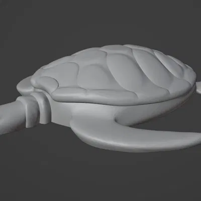 Rùa Biển Đã Chỉnh Sửa