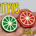 Citrus - Bộ sưu tập đồng xu fidget - Thumbnail 1