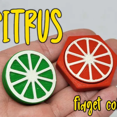 Citrus - Bộ sưu tập đồng xu fidget