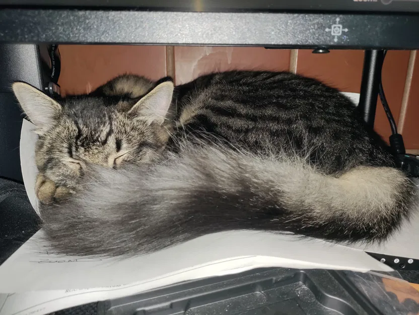 Nắp Chặn Nguồn Chống Mèo Cho Fractal Design (Nút Vuông) - Image 3